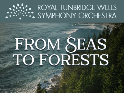 RTWSO: From Seas to Forests