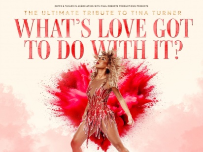 What's Love Got To Do With It?